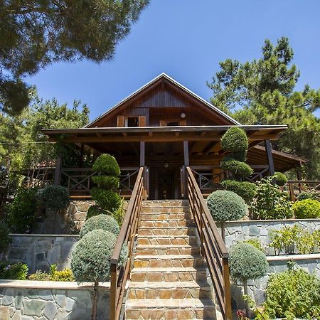 Villa Ricky Chalet Near Troodos Spilia Exterior foto