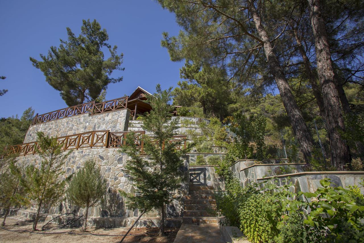 Ricky Chalet Near Troodos Spilia Exterior foto