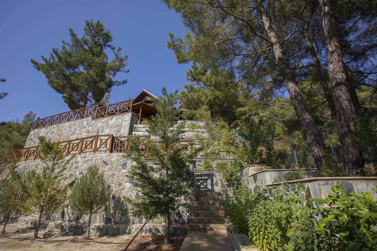 Villa Ricky Chalet Near Troodos Spilia Exterior foto