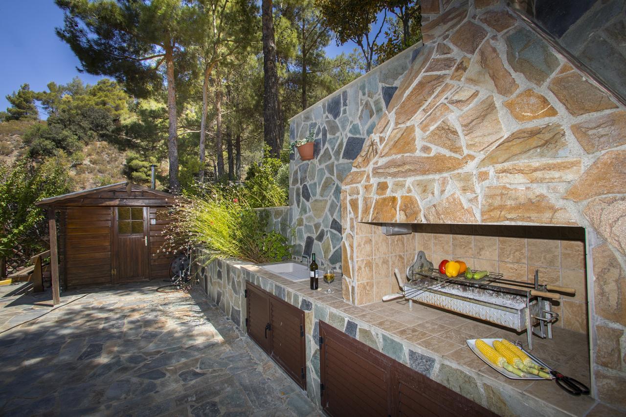 Villa Ricky Chalet Near Troodos Spilia Exterior foto