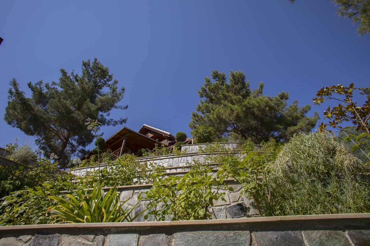 Villa Ricky Chalet Near Troodos Spilia Exterior foto