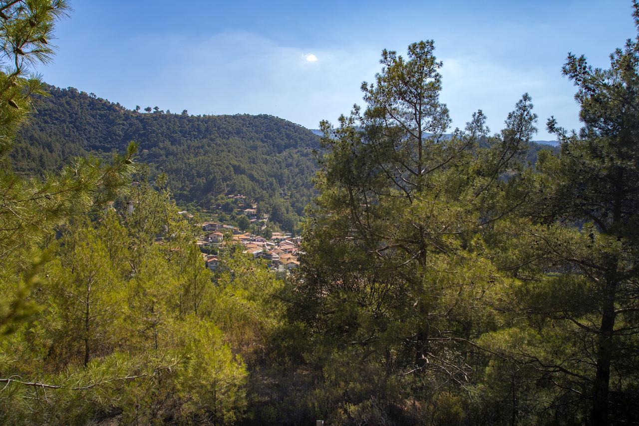 Villa Ricky Chalet Near Troodos Spilia Exterior foto